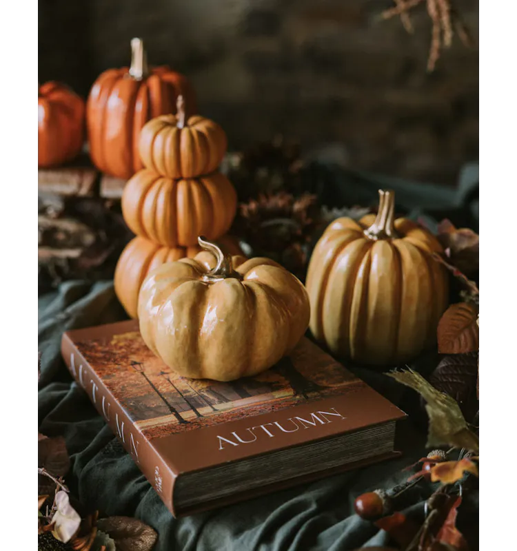 Bokeske Autum 